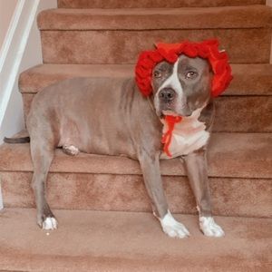 Handmade Crochet Red and Pink Dog sun hat